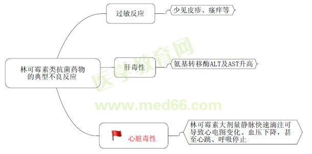 《藥學專業(yè)知識（二）》“那點小事兒”