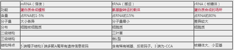 2018年臨床執(zhí)業(yè)醫(yī)師生物化學(xué)科目高頻考點