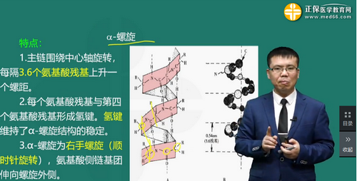 蛋白質(zhì)的化學