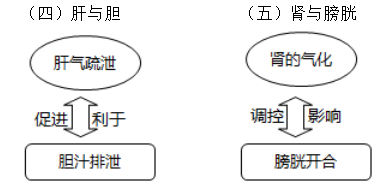 六腑與五臟之間的關(guān)系