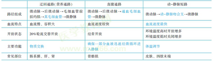 微循環(huán)通路及其生理功能 