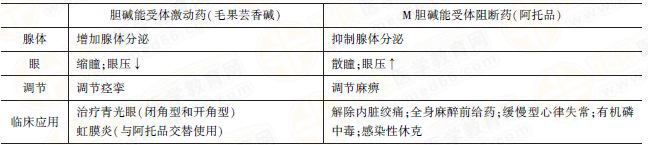 膽堿能受體激動(dòng)藥VS膽堿能受體阻斷藥 