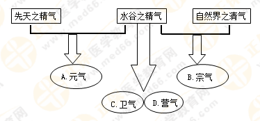 專業(yè)師資帶你學（八）：執(zhí)業(yè)藥師《中藥綜》生命活動的基本物質(zhì)！善用圖解！