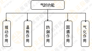 專業(yè)師資帶你學（八）：執(zhí)業(yè)藥師《中藥綜》生命活動的基本物質(zhì)！善用圖解！