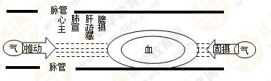 專業(yè)師資帶你學（八）：執(zhí)業(yè)藥師《中藥綜》生命活動的基本物質(zhì)！善用圖解！