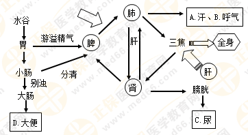 專業(yè)師資帶你學（八）：執(zhí)業(yè)藥師《中藥綜》生命活動的基本物質(zhì)！善用圖解！