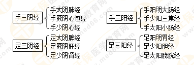 專業(yè)師資帶你學（九）：執(zhí)業(yè)藥師《中藥綜》經(jīng)絡與經(jīng)絡系統(tǒng)！5圖2表！