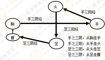 專業(yè)師資帶你學（九）：執(zhí)業(yè)藥師《中藥綜》經(jīng)絡與經(jīng)絡系統(tǒng)！5圖2表！