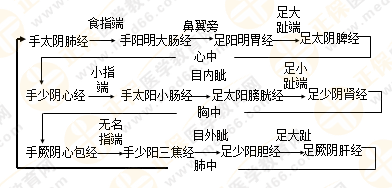 專業(yè)師資帶你學（九）：執(zhí)業(yè)藥師《中藥綜》經(jīng)絡與經(jīng)絡系統(tǒng)！5圖2表！