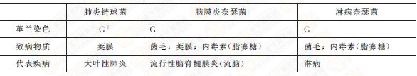 幾種常見致病球菌特點(diǎn) 