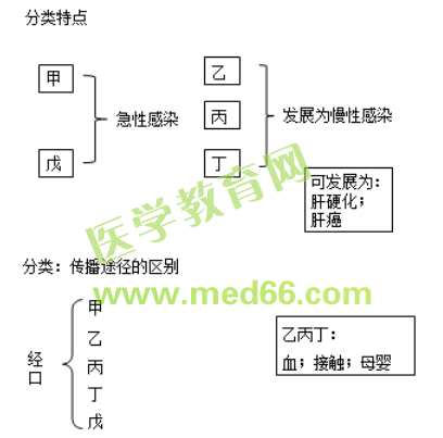 【邵啟軒】傳染病學-中西醫(yī)結合執(zhí)業(yè)醫(yī)師精選課