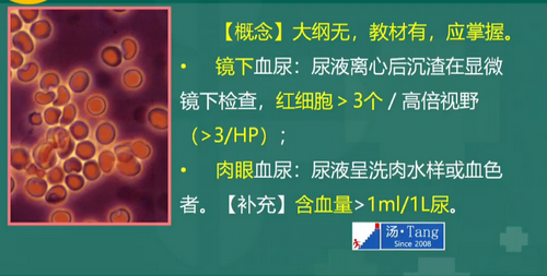 湯以恒2019臨床執(zhí)業(yè)醫(yī)師泌尿系統(tǒng)科目免費(fèi)視頻課更新！