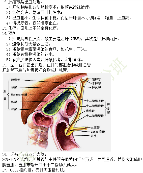 30個有關(guān)肝炎、膽囊炎相關(guān)考點匯總-臨床執(zhí)業(yè)醫(yī)師消化系統(tǒng)第九期！