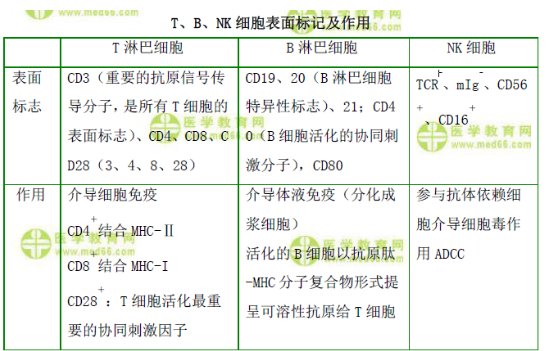 T、B、NK細胞表面標記及作用