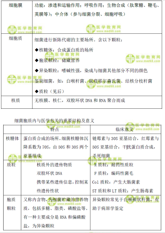 細菌的形態(tài)與結構