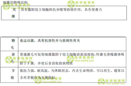 細菌的形態(tài)與結構