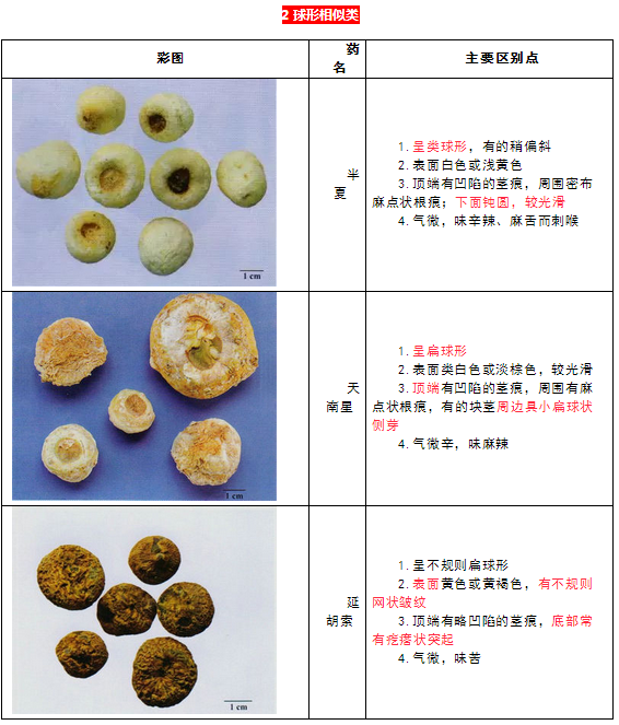 每日沖刺計劃！2019執(zhí)業(yè)藥師《中藥學(xué)專業(yè)知識二》第一篇！