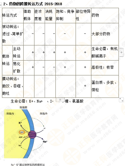 2019年執(zhí)業(yè)藥師《藥一》的藥劑學，15分鐘經(jīng)典回顧！