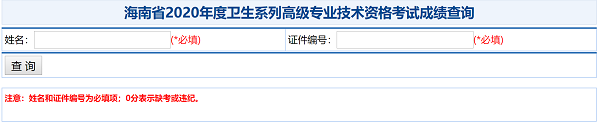 海南省2020年度衛(wèi)生系列高級專業(yè)技術(shù)資格考試成績查詢