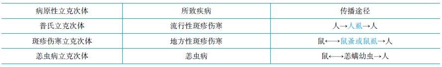 主要病原性立克次體