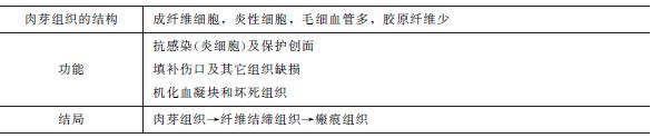 肉芽組織