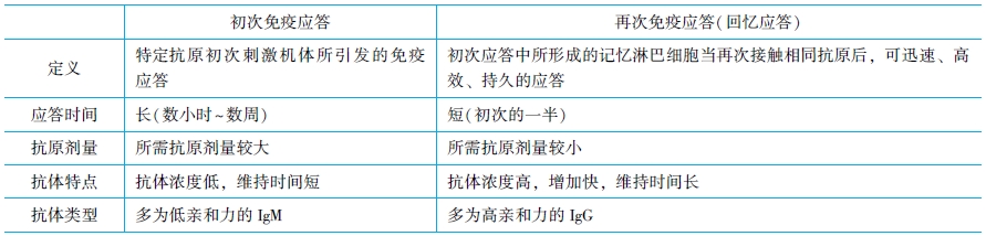 體液免疫應(yīng)答