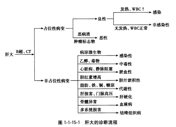 肝大常見疾病的鑒別診斷