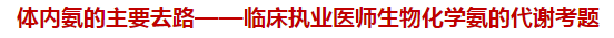 體內(nèi)氨的主要去路——臨床執(zhí)業(yè)醫(yī)師生物化學(xué)氨的代謝試題