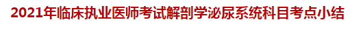 2021年臨床執(zhí)業(yè)醫(yī)師考試解剖學(xué)泌尿系統(tǒng)科目考點小結(jié)