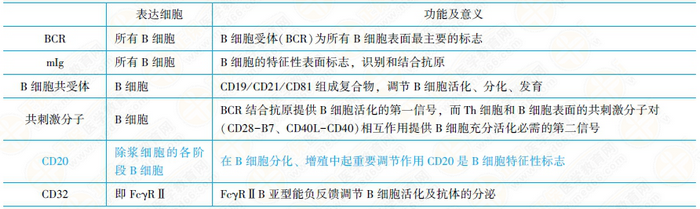 T淋巴細胞亞群及其功能