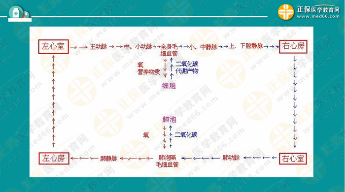 醫(yī)療衛(wèi)生考試筆試備考指導(dǎo)來了，共計2863頁書！怎么學(xué)？