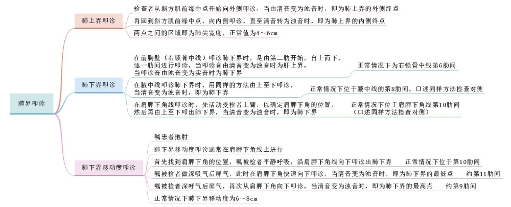 體格檢查——肺界叩診、肺下界移動度叩診