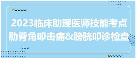 2023臨床助理醫(yī)師技能考點(diǎn)-叩診