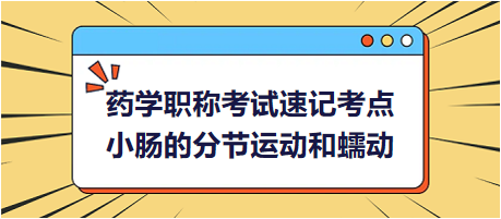 小腸的分節(jié)運(yùn)動和蠕動-2024藥學(xué)職稱考試速記考點(diǎn)