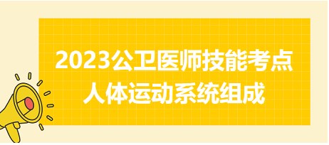 2023公衛(wèi)醫(yī)師技能考點(diǎn)-人體運(yùn)動系統(tǒng)組成