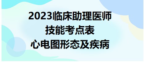 心電圖形態(tài)及疾病