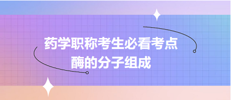 酶的分子組成-2024藥學(xué)職稱(chēng)考生必看考點(diǎn)