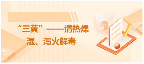 “三黃”——清熱燥濕、瀉火解毒