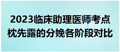 枕先露的分娩各階段對比